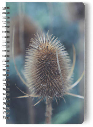 WINTER THISTLE Self-Launch Notebook