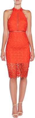 Bardot Gemma Halter Lace Sheath Dress