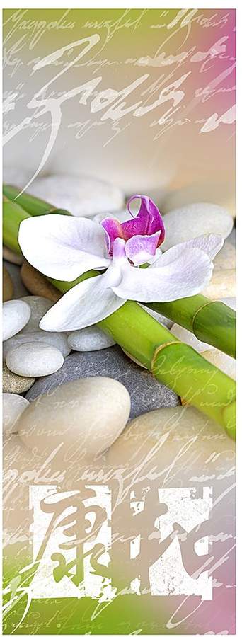 Pro Art Glasbild Orchidee X 30x80