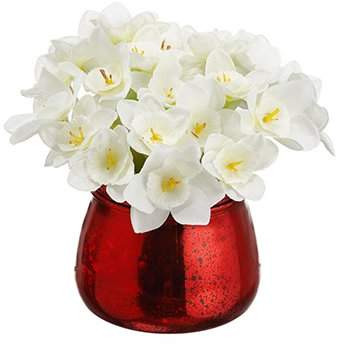 The Holiday Aisle Narcissus Centerpiece in Decorative Vase