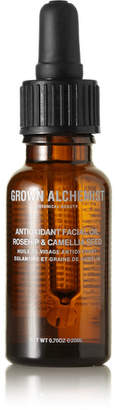 Grown Alchemist - Antioxidant Facial Oil, 20ml - Colorless