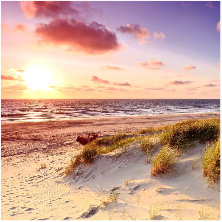 Pro Art Bild Sea Harmony