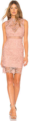 Bardot Lace Dress