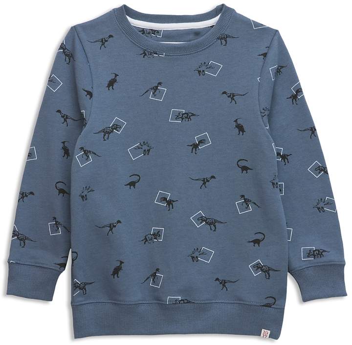 Boys' Dinosaur-Print Sweatshirt - Little Kid