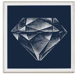 Natural Curiosities Framed Diamond Solitaire Print