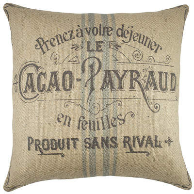 Wayfair Payraud Pillow