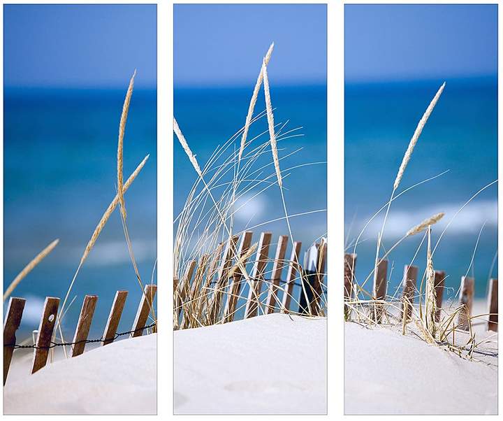 Pro Art Kunstdruck Sand sedge (3-teilig)