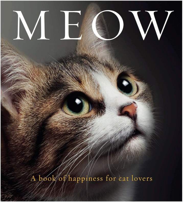 Quarto Publishing Meow