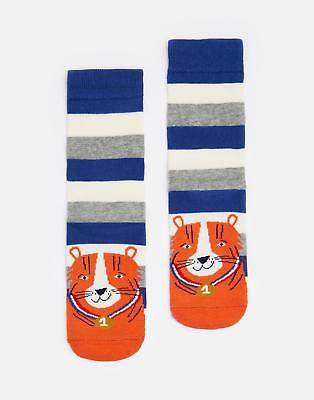 Boys Eat Feet Character Socks in Sky Blue with Tiger Character Design
