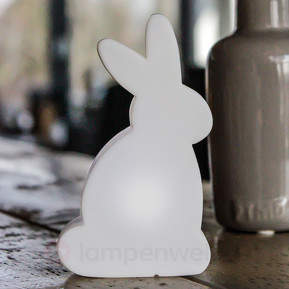 Shining Rabbit Micro LED-Dekorationsleuchte