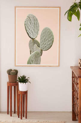 Wilder California Mountain Cactus Art Print