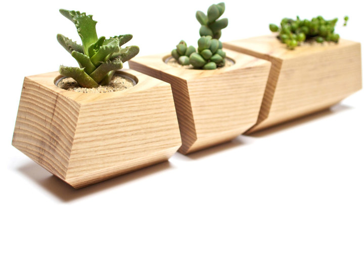 Dot & Bo 3 Pc. Solid Ash Wood Planters in Natural