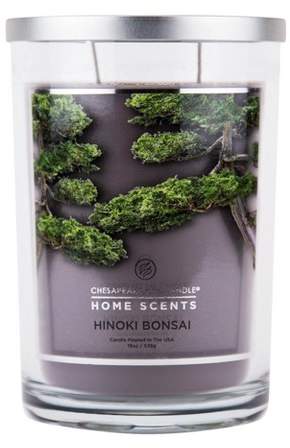 Home Scents Jar Candle Hinoki Bonsai 19oz - Chesapeake Bay Candles® Home Scents