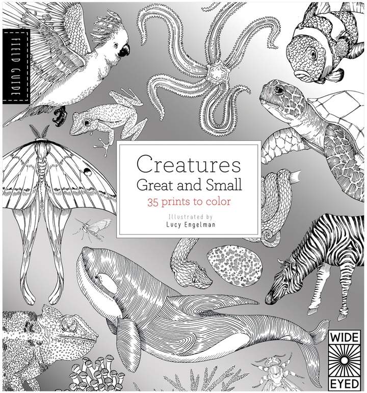 Quarto Publishing Field Guide: Creatures Great and Small