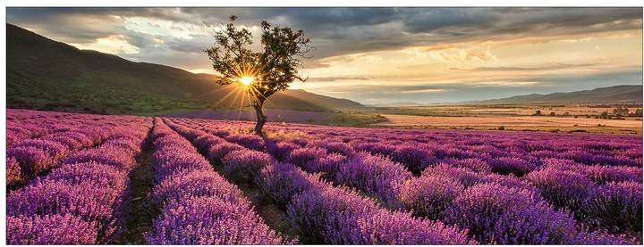 Pro Art Floatglasbild Silence