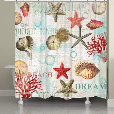 Laural Home® Dream Beach Shells Shower Curtain