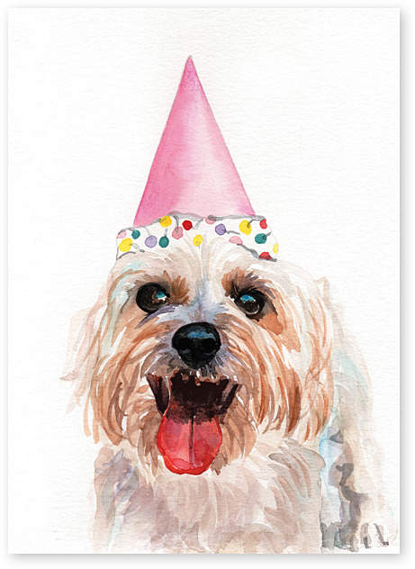 Magical Dog Birthday Card - Set of Six