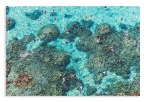 Gray Malin The Reef Bora Bora Print