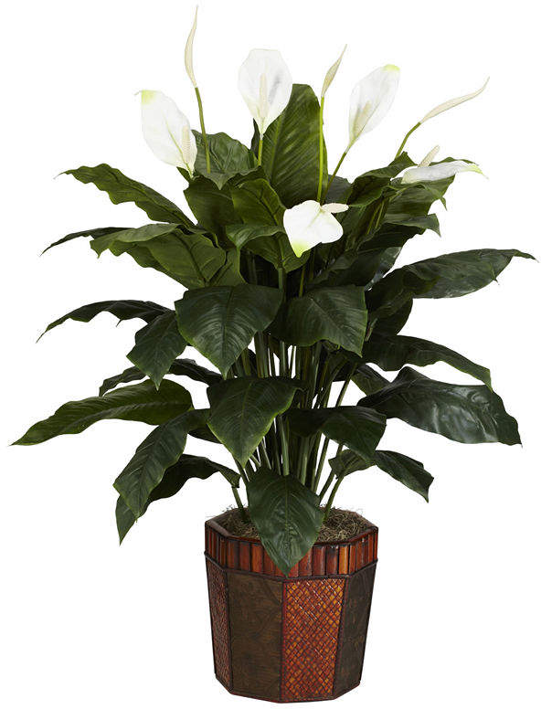Asstd National Brand Nearly Natural Spathiphyllum Silk Plant with Vase
