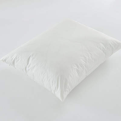 Wayfair Zippered Pillow Protector