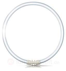 2GX13 Ring-Leuchtstofflampe Master TL5 Circular