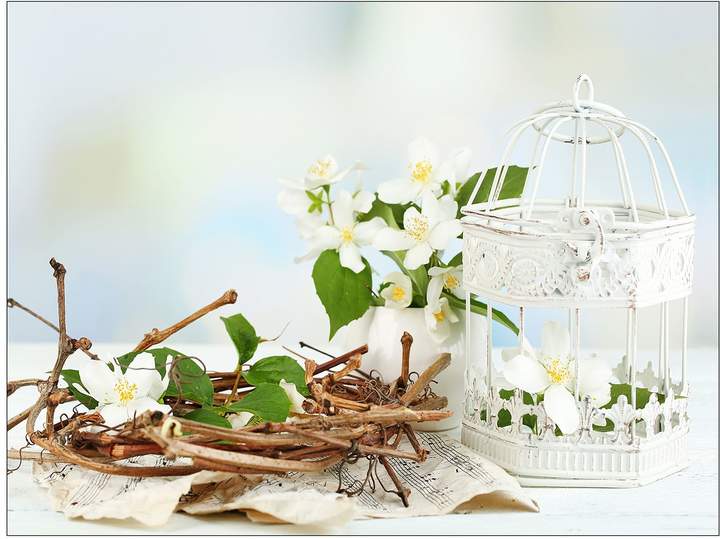 Pro Art Canvasbild White & Yellow Flowers