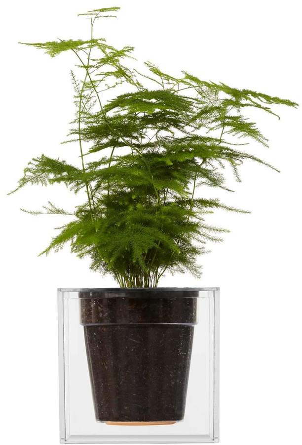 Boskke - Cube, transparent, klein