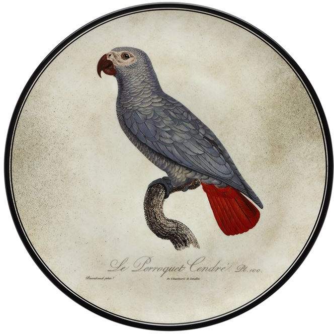 Richard Ginori 1735 Le Perroquet Cendrè Wall Plate (33cm)
