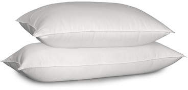 Wayfair 700 Thread Count Siberian White Down Pillow