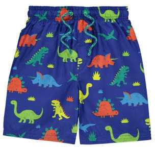 Dinosaur Print Swim Shorts