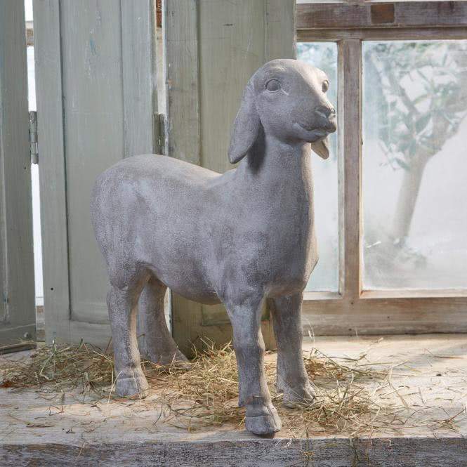 LOBERON Schaf Mouton