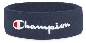 Terry Logo Sweatband