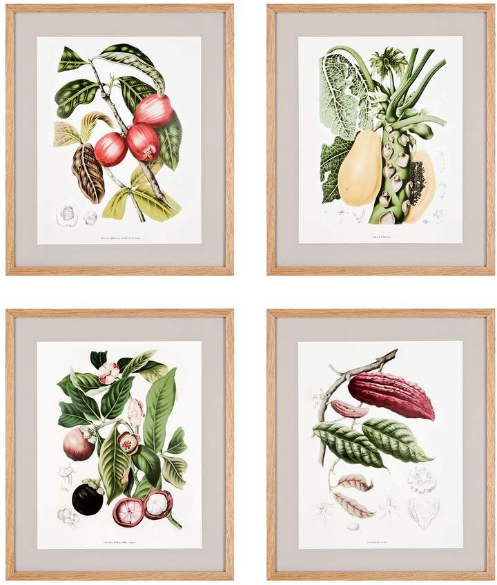 Bilder Papaya (4er-Set)