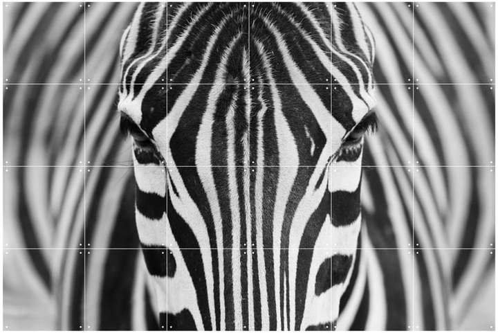 IXXI - Zebra, 120 x 80 cm