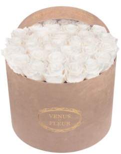 VENUS ET FLEUR Large Round Faux Suede Keepsafe Box with Eternity Roses