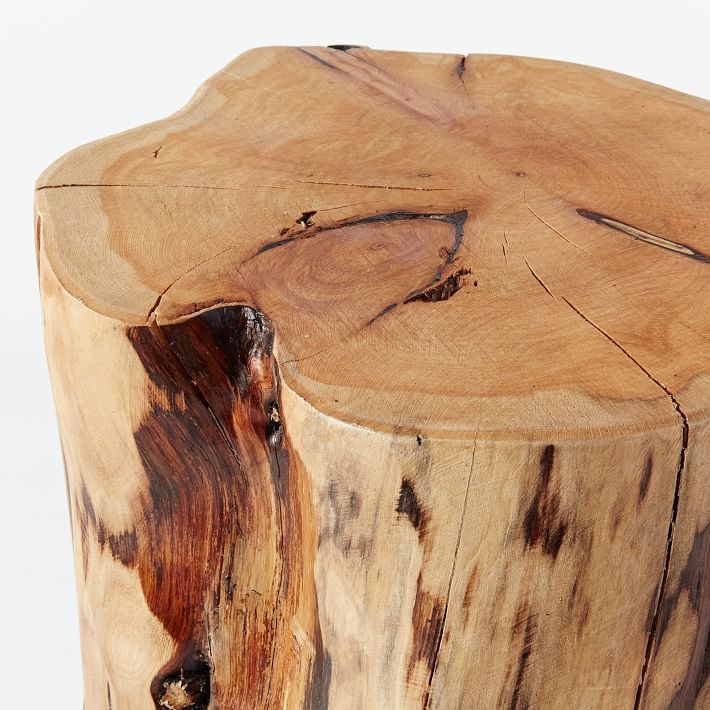 west elm Natural Tree Stump Side Table ShopStyle Home
