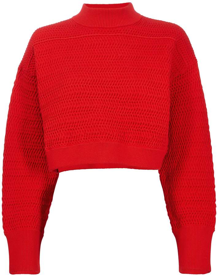 Red Knit Cropped Sweater