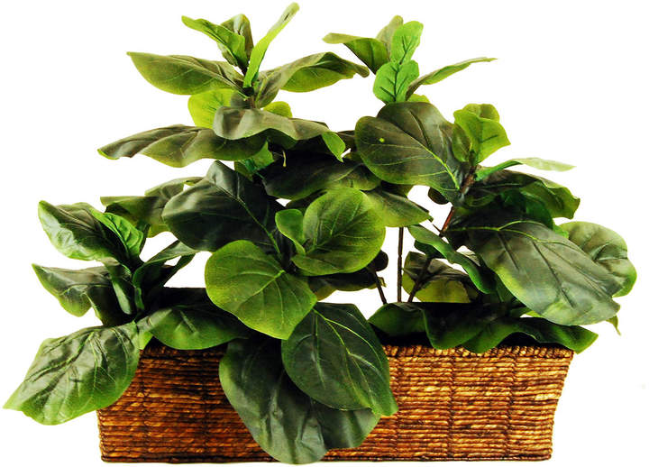Fiddle-Leaf Fig Ledge Basket Silk Plant