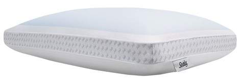 Gel Memory Foam Bed Pillow (Standard)