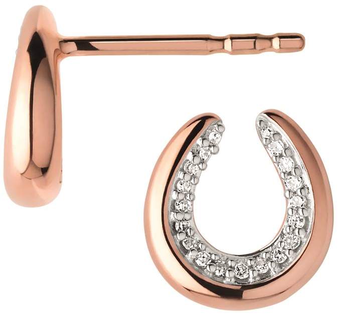 Ascot Horseshoe Earrings