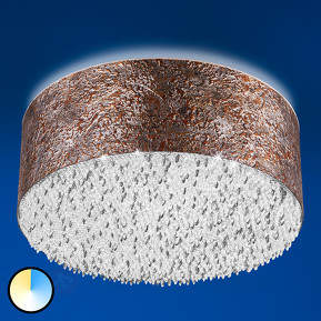 Funktionale LED-Deckenlampe Vintage