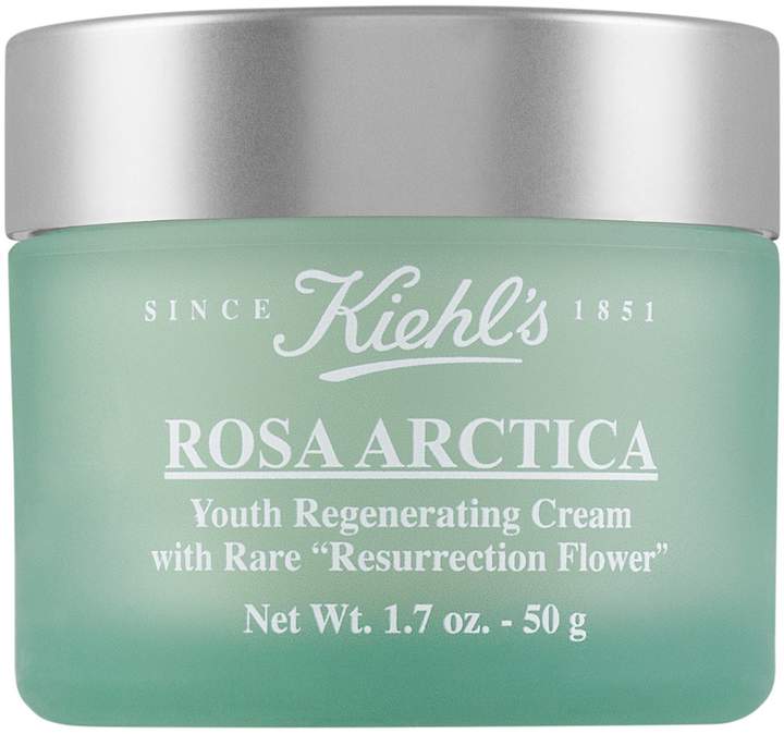 Rosa Arctica