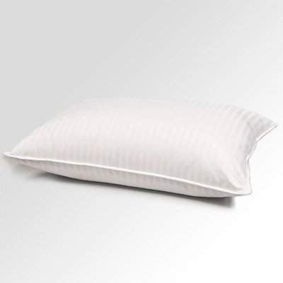 Wayfair Down and Feathers Pillow