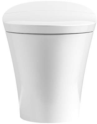Wayfair Veil Intelligent Skirted 1-Piece Elongated Dual-Flush Toilet
