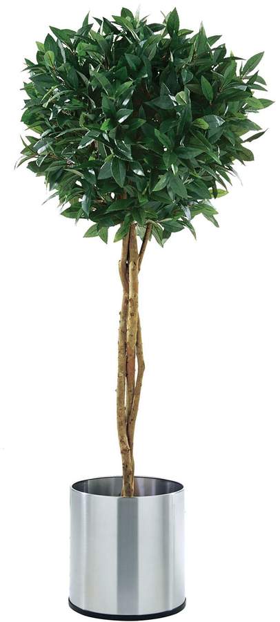 Ars Natura Kunstpflanze Lorbeerbaum -Kunststoff