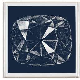 Natural Curiosities Framed Cushion Cut Diamond Print