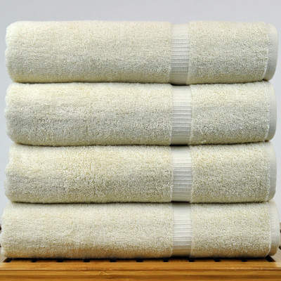Wayfair Michelle 100% Turkish Cotton Bath Towel
