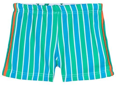 Platypus Australia Blue Stripe and Cactus Print Boyleg Swim Shorts