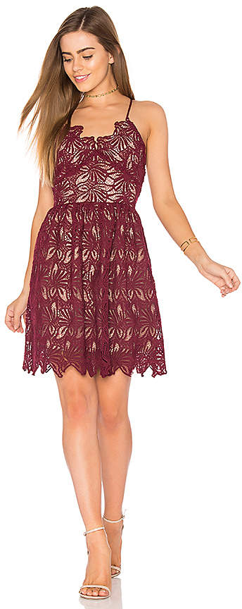  Fit And Flare Lace Dress in Burgundy