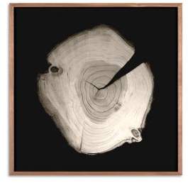 Natural Curiosities Framed Tree Rings Photograph
